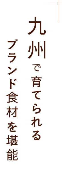 九州で育てられる